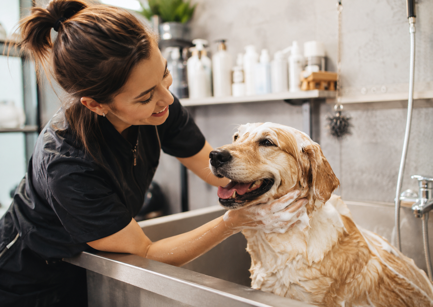 Cachorro recebendo banho com produtos da linha Hydra em pet shop